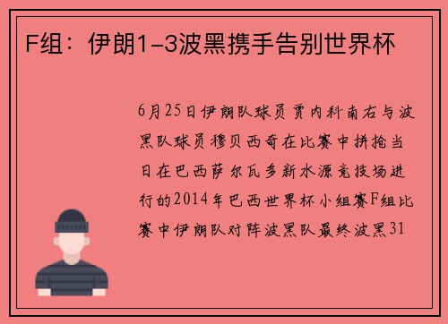 F组：伊朗1-3波黑携手告别世界杯